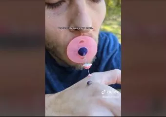 Ezzel az eszközzel meg lehet csókolni a rovarokat